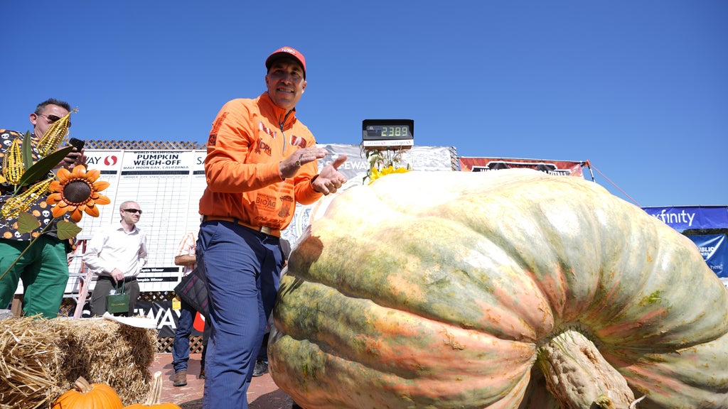 Minnesota man drives hauls giant pumpkin over 2,000 miles to California competition — CBS Bay Area (KPIX), Danville Community news