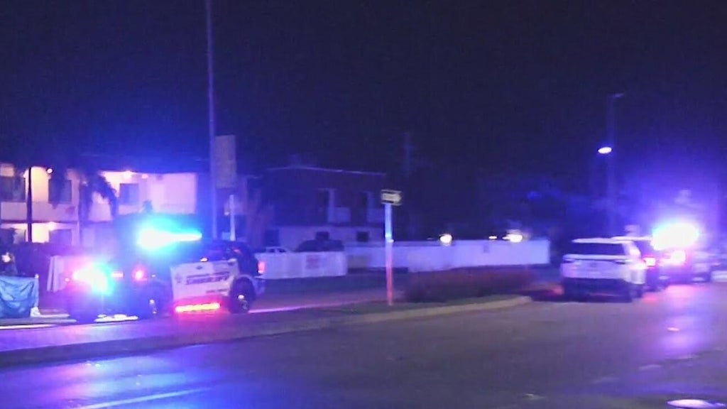 Woman accused of killing man in Dania Beach hit-and-run, BSO says — CBS Miami, Danville Community news