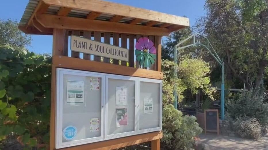 San Jose community garden told to leave as land is sold to developer — CBS Bay Area (KPIX), Danville Real Estate news