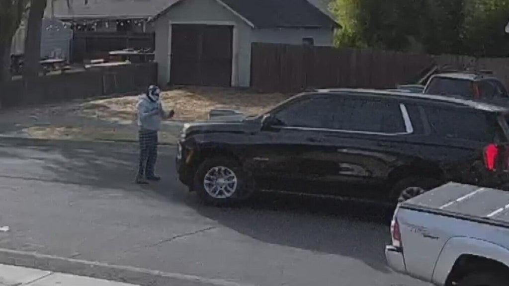 Woodland police dispute DHS account of ICE agent's collision with pedestrian — CBS Bay Area (KPIX), Danville Health news