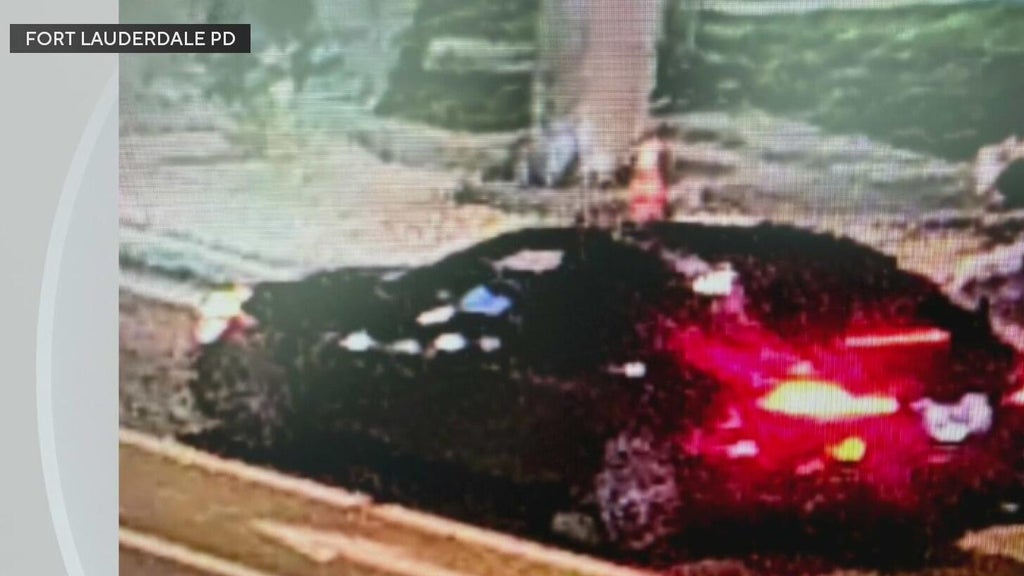 Police seek Mercedes in deadly Fort Lauderdale hit-and-run — CBS Miami, Danville Community news