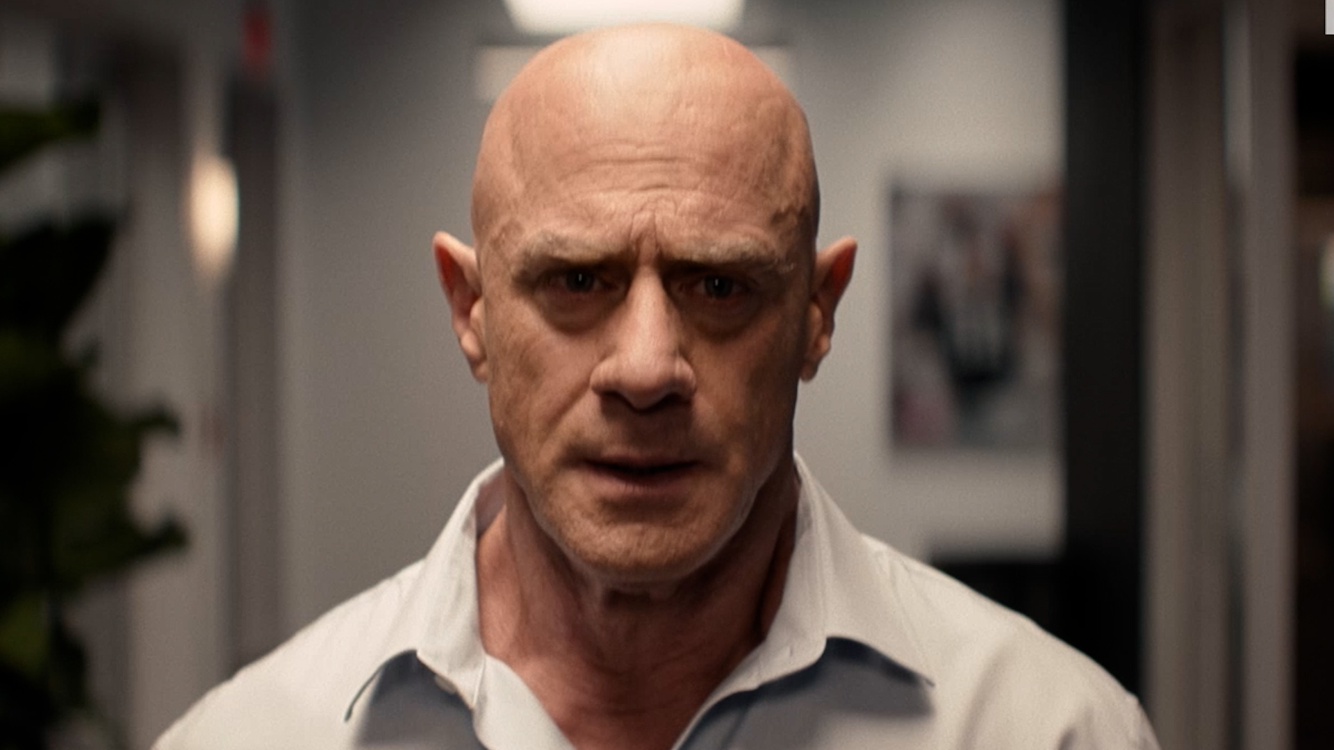Christopher Meloni, William H. Macy talk football, family in 'The Land' trailer
       — ABC 7 Bay Area, Danville Sports news