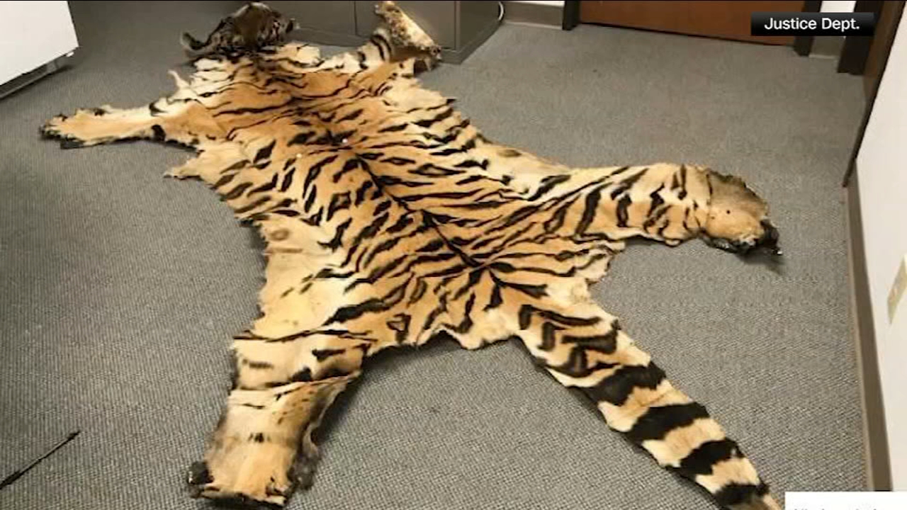 California couple pleads guilty to trafficking wildlife
       — Danville Community news