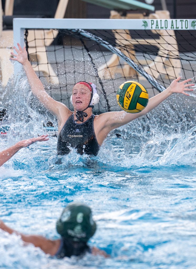 Wilcox Water Polo Caught in Vikings Rip Current — Silicon Valley Voice, Danville Sports news