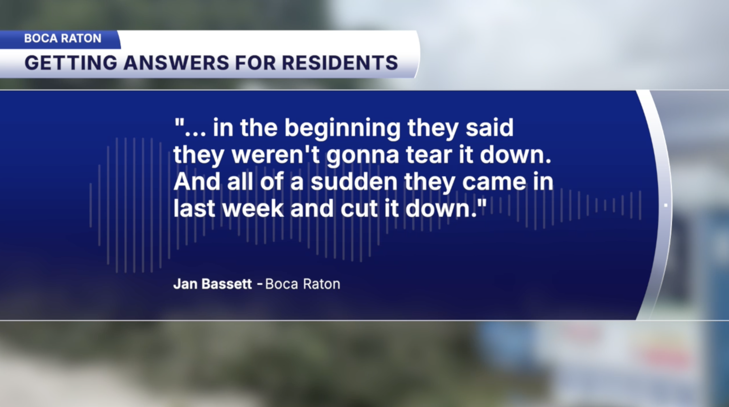Boca Raton neighbors raise concerns over development, removal of decades-old oak tree — WPTV South Palm Beach County