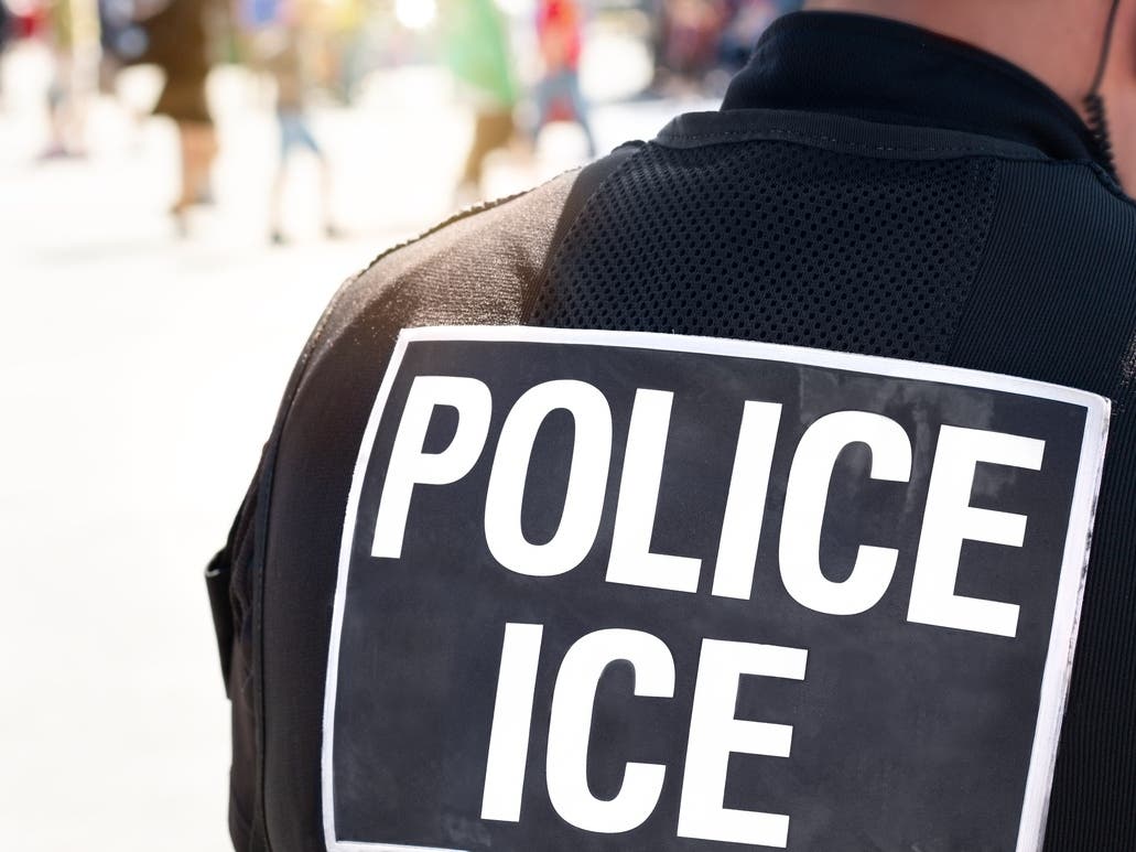 ICE Detains At Least 2 In Hayward As Community Mobilizes To Offer Support — Danville Government news