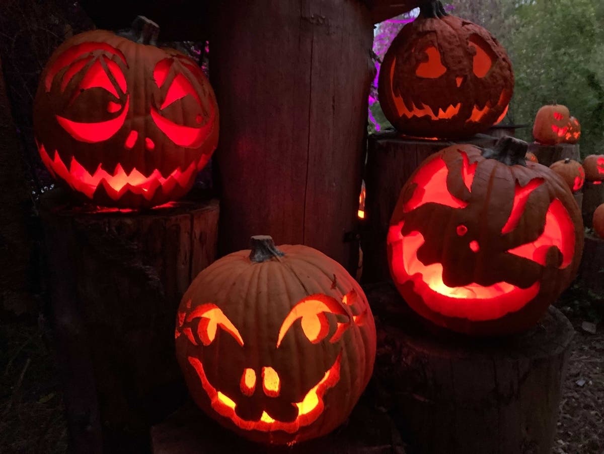 Danville 'Crawloween' Set For Wednesday — Danville Patch