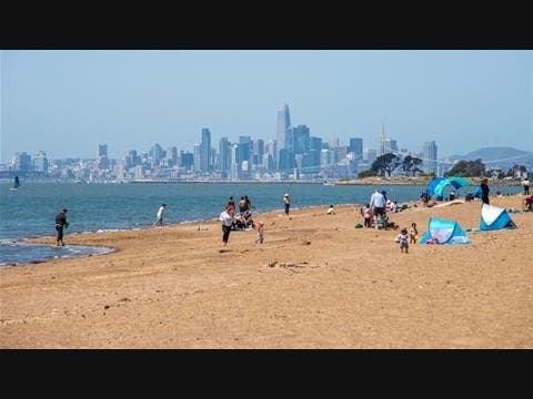 Geese At Beach In Alameda Test Positive For Bird Flu: Official — Danville Patch, Danville Health news