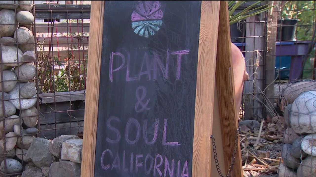 San Jose community garden faces possible eviction — KTVU FOX 2 Bay Area, Danville Schools news