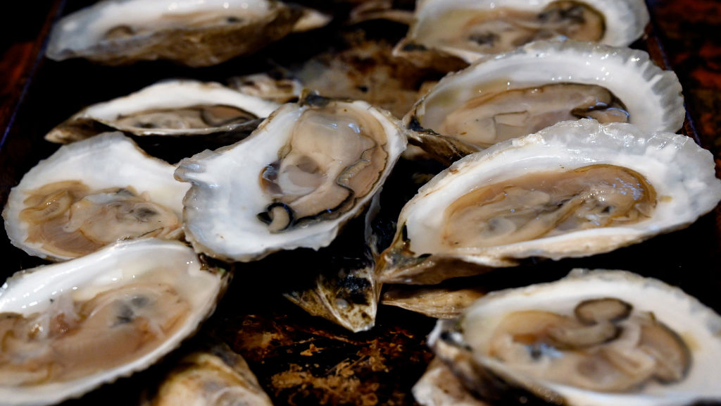 Sewage leak temporarily halts Tomales Bay oyster harvest — KTVU FOX 2 Bay Area, Danville Business news