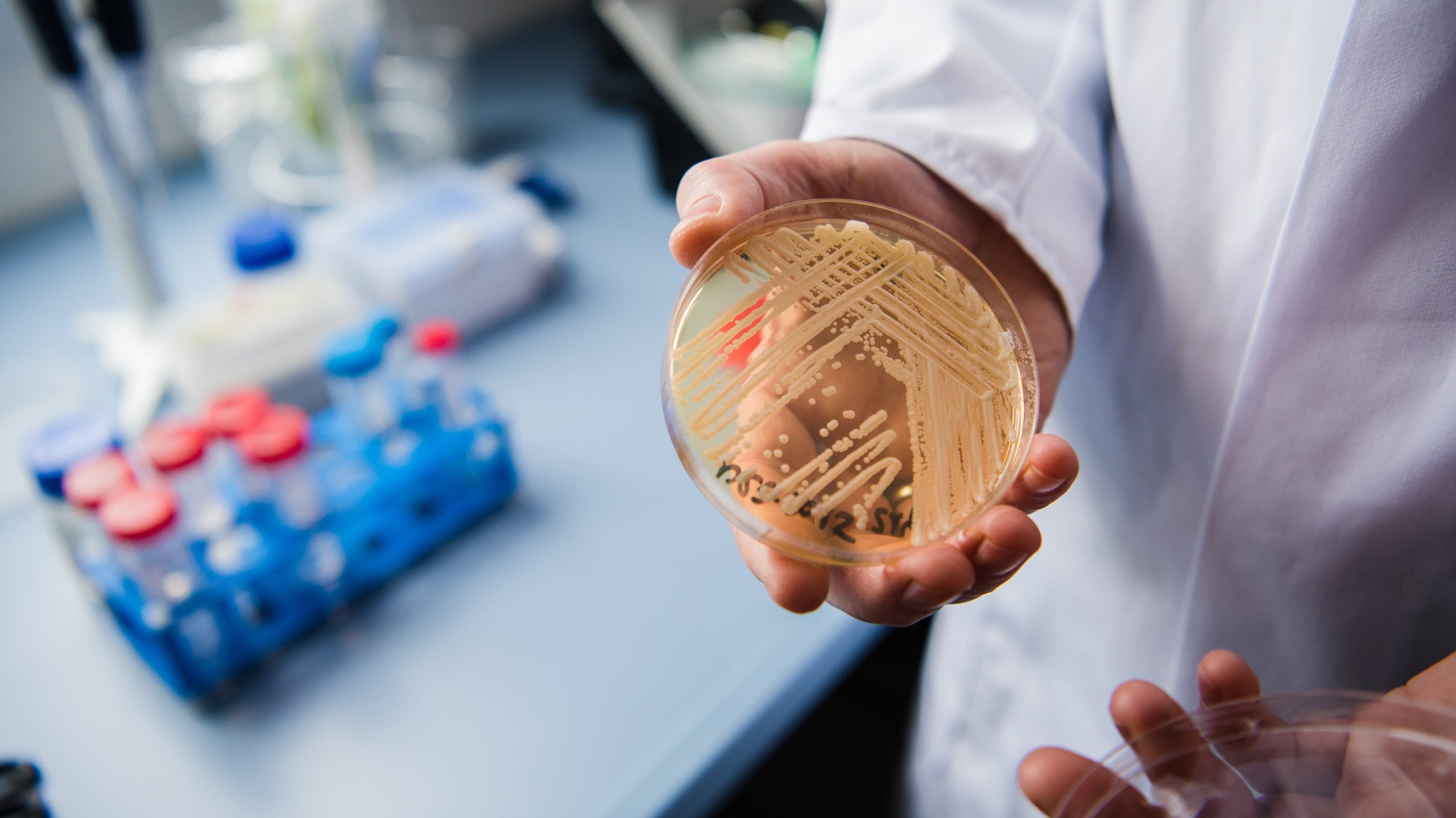 New study reveals why dangerous fungus is so difficult to treat — KTVU FOX 2 Bay Area, Danville Community news
