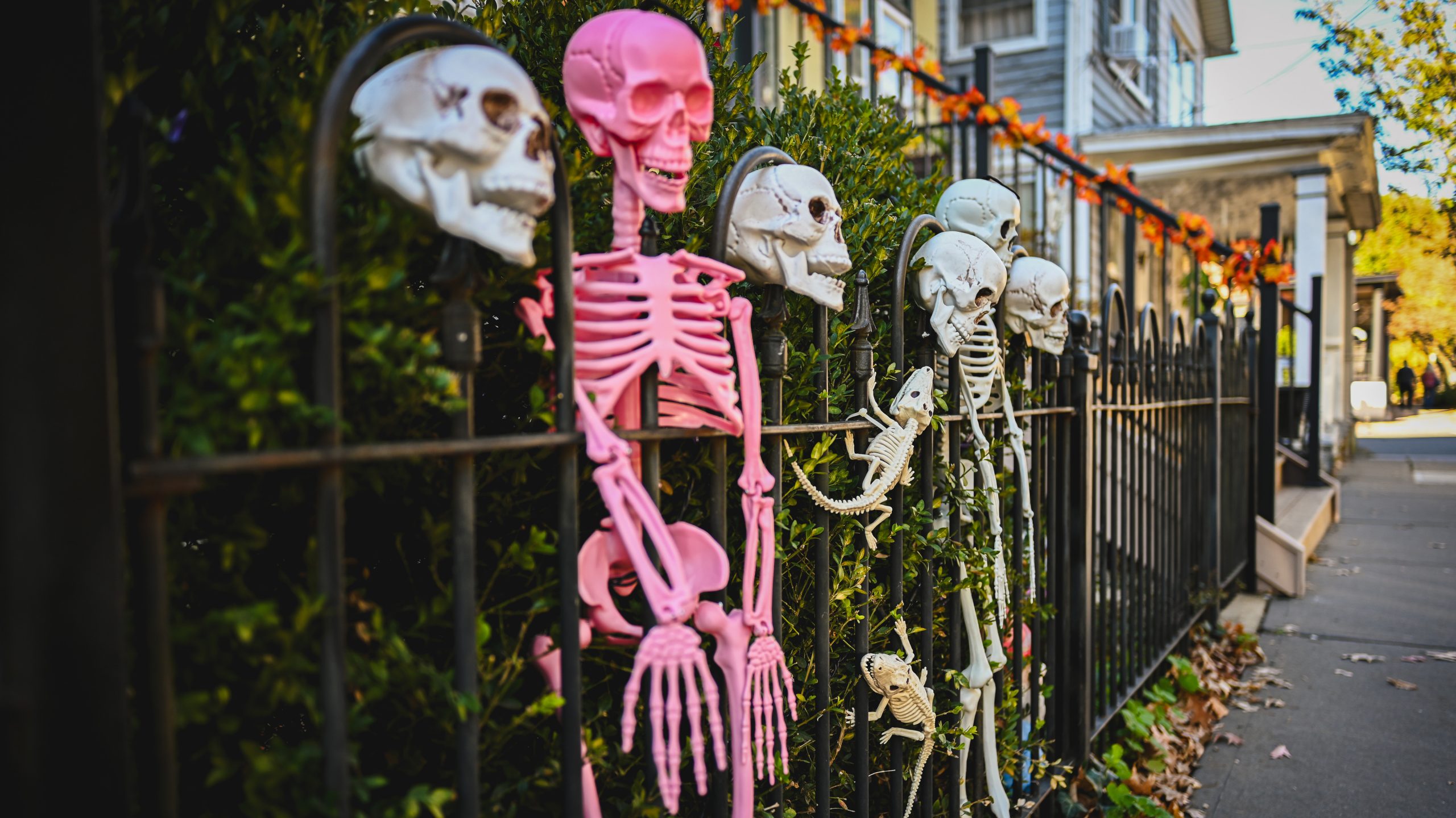 America's best cities for Halloween, ranked — KTVU FOX 2 Bay Area, Danville Community news