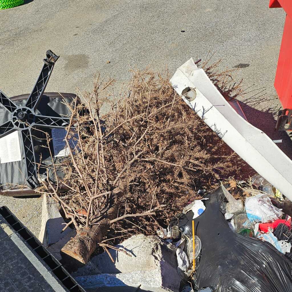 And While We’re in the Holiday Spirit – Another October Last* Christmas Tree — PoPville DC